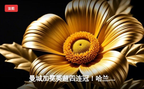 曼城加冕英超四连冠！哈兰德双响炮锁定胜局 178足球直播见证历史时刻